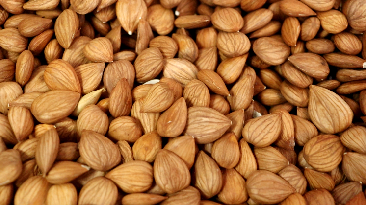 8 meters roasting production line​ for processing salted peanut.