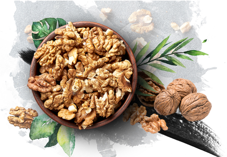 Improve your memory with walnuts